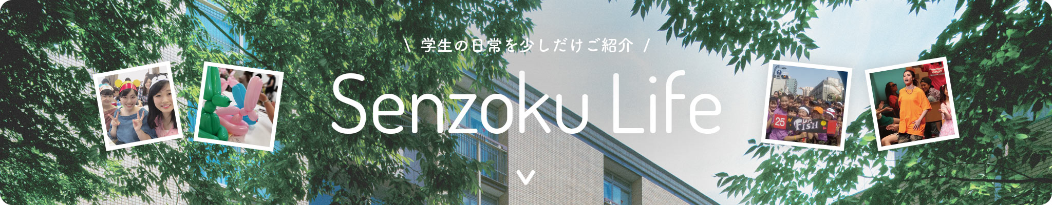 学生の日常を少しだけご紹介 Senzoku Life